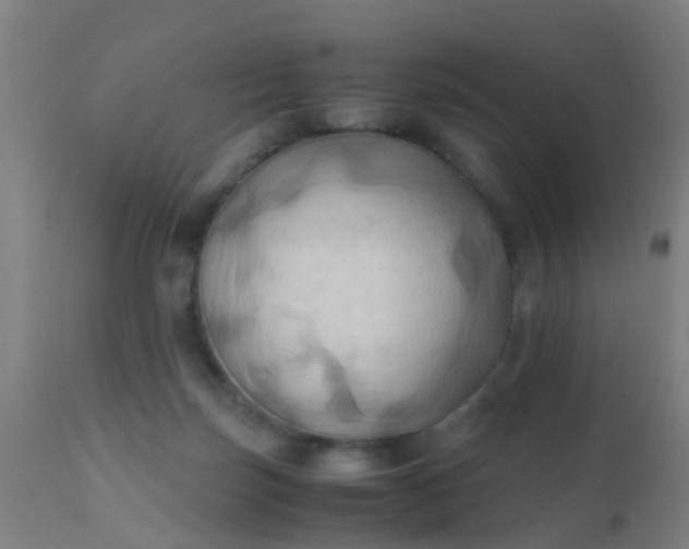 X0000110970171200907022254