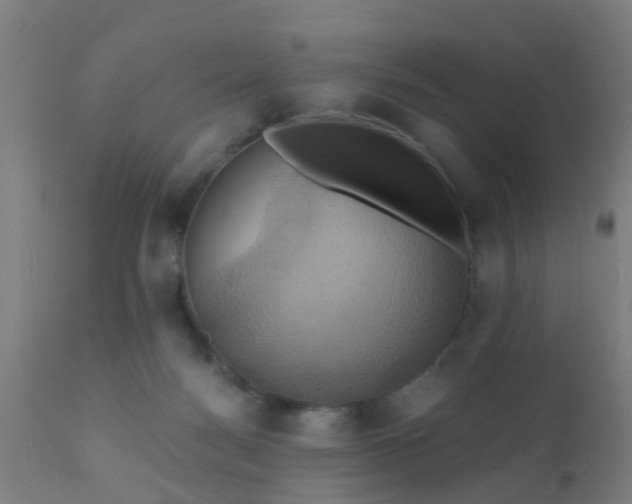 X0000110970172200907022254