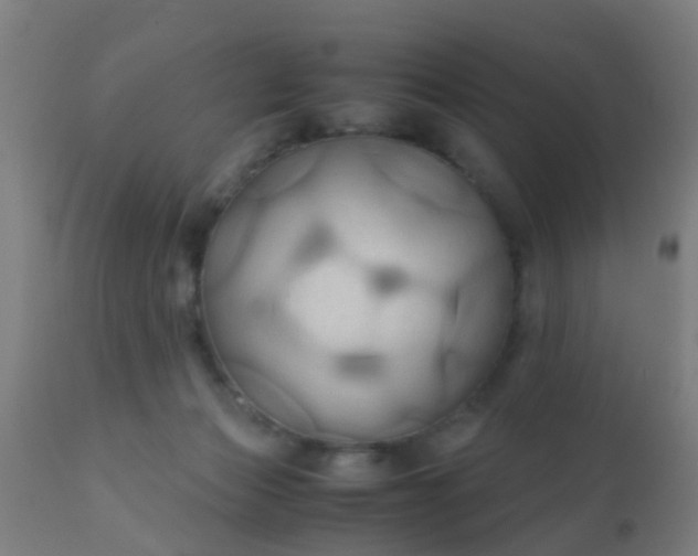 X0000110970173200907022254