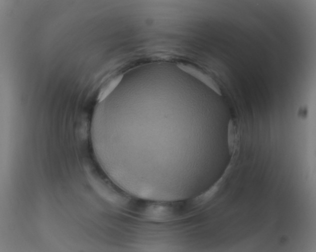 X0000110970174200907022254