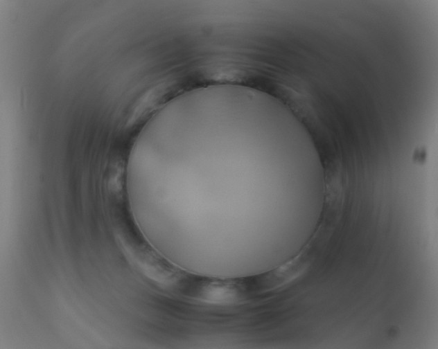 X0000110970175200907022254