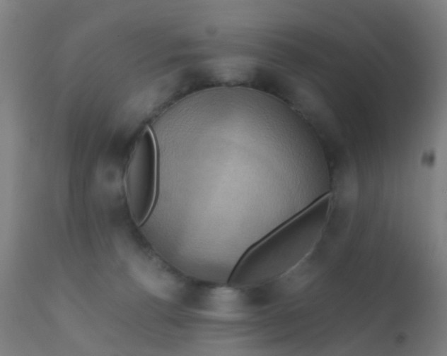 X0000110970176200907022254