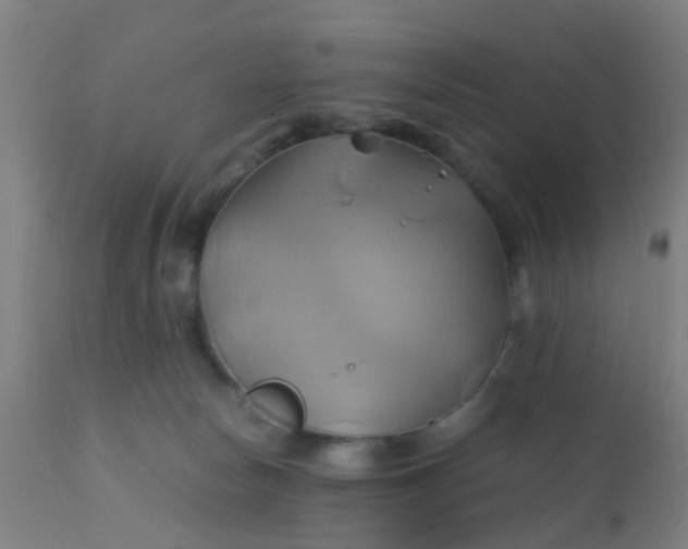 X0000110970178200907022254