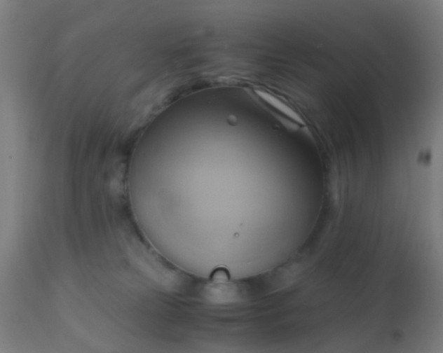 X0000110970181200907022254