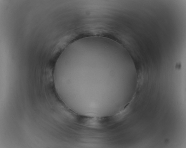 X0000110970182200907022254