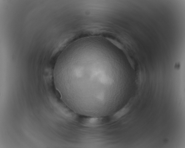 X0000110970184200907022254