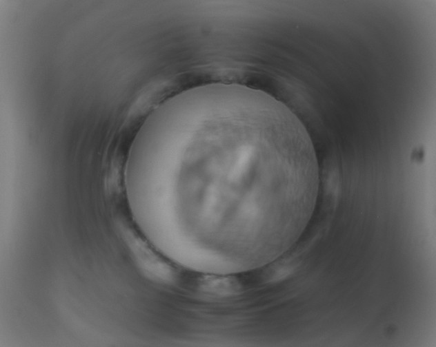 X0000110970185200907022254