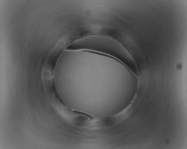 X0000110970186200907022254