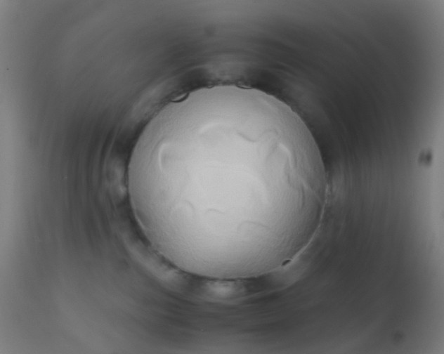 X0000110970187200907022254