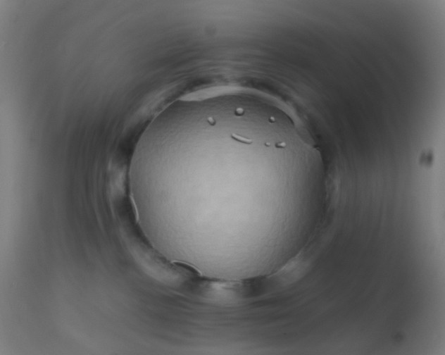 X0000110970188200907022254