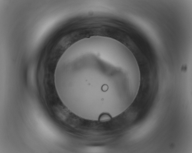 X0000110970189200907022254