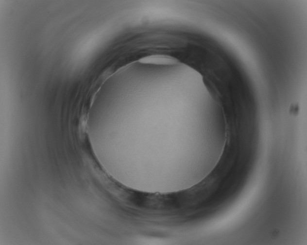 X0000110970190200907022254