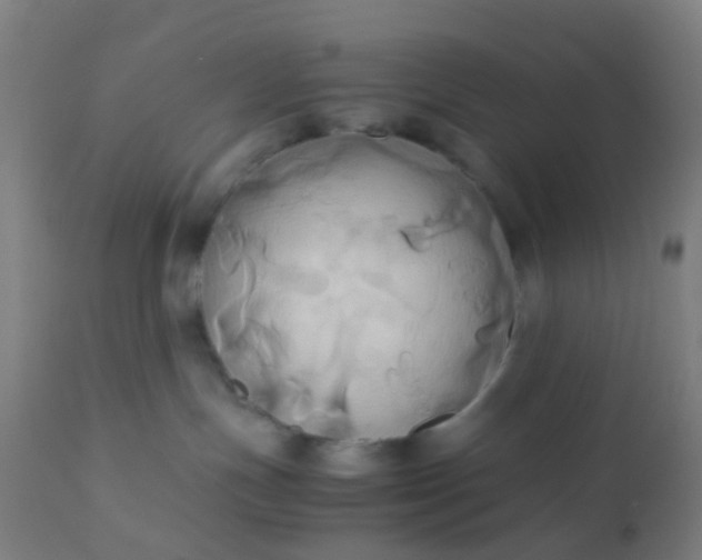 X0000110970191200907022254