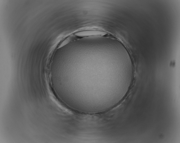 X0000110970193200907022254