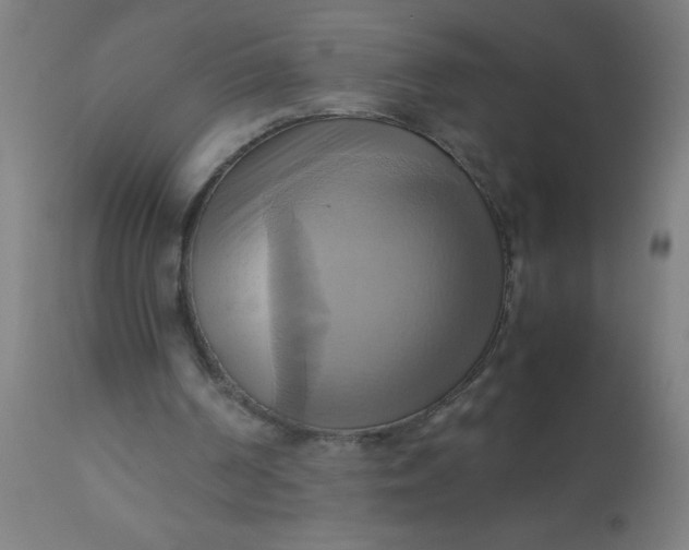 X0000110970194200907022254