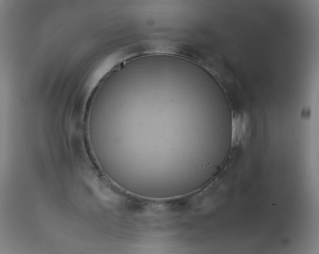 X0000110970195200907022253