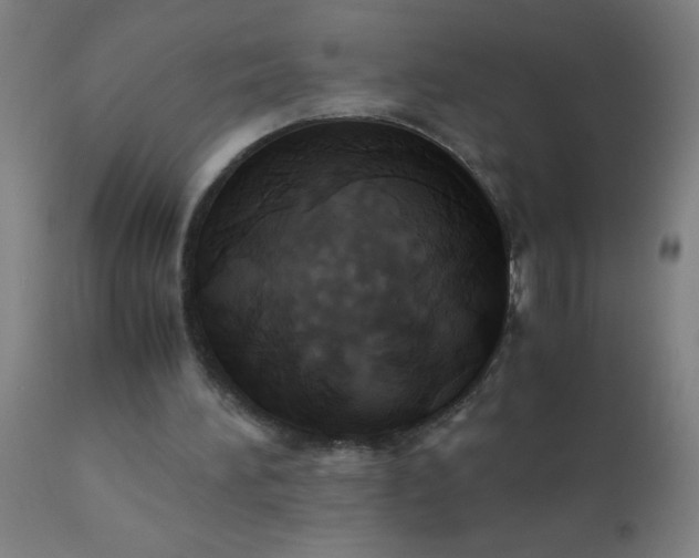 X0000110970196200907022253