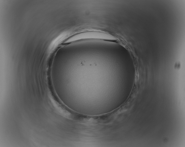 X0000110970197200907022253