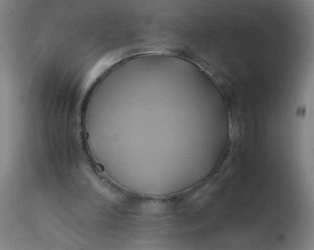 X0000110970198200907022253