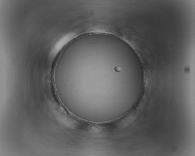 X0000110970199200907022253