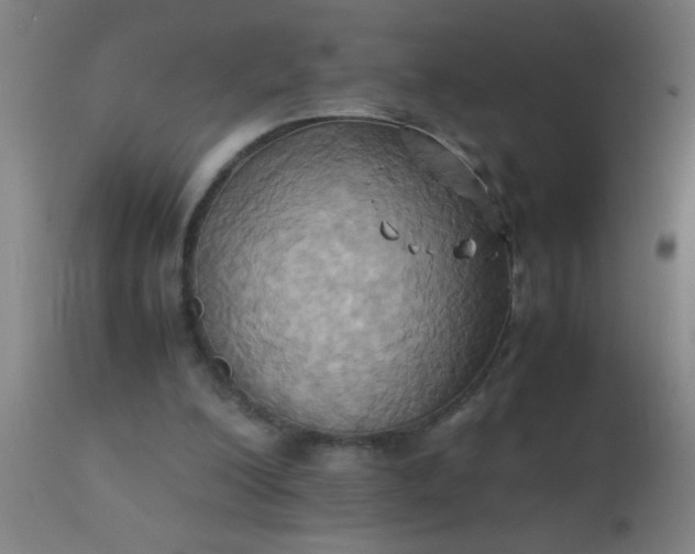 X0000110970200200907022253