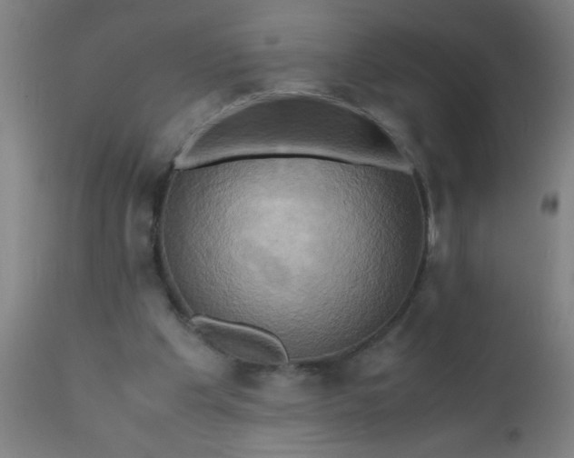 X0000110970201200907022253