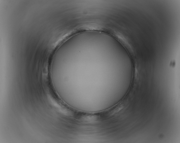 X0000110970202200907022253