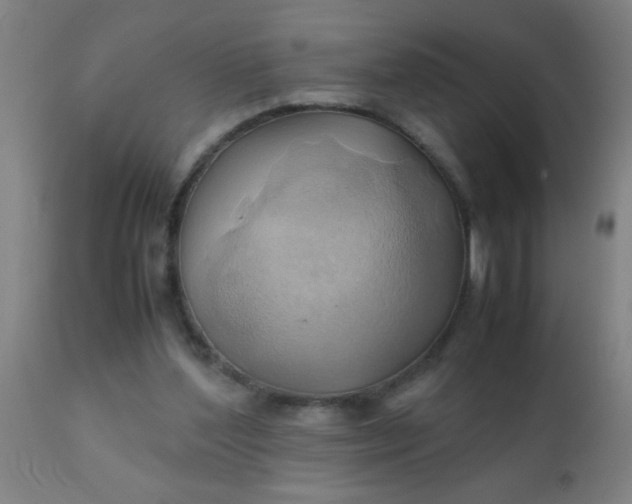 X0000110970204200907022253