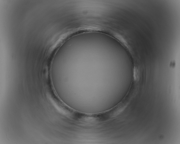 X0000110970205200907022253