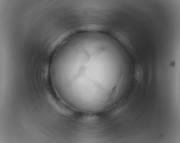 X0000110970206200907022253