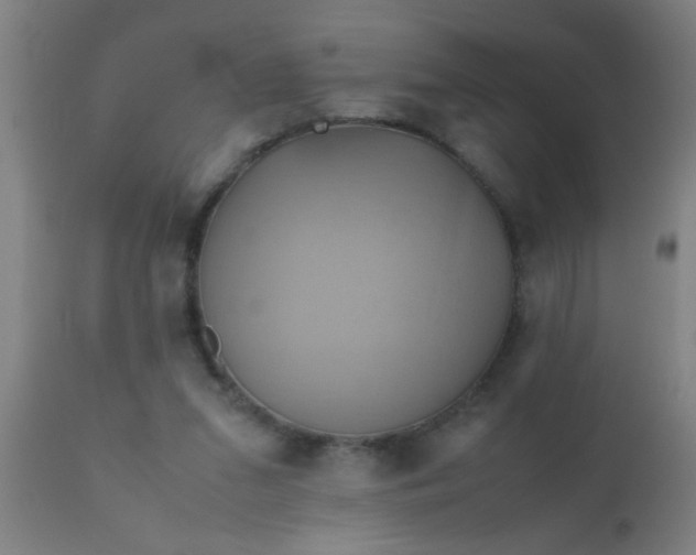 X0000110970207200907022253