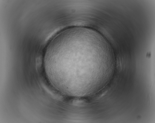 X0000110970208200907022253