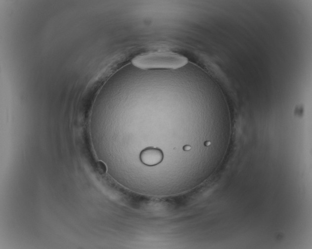 X0000110970209200907022253