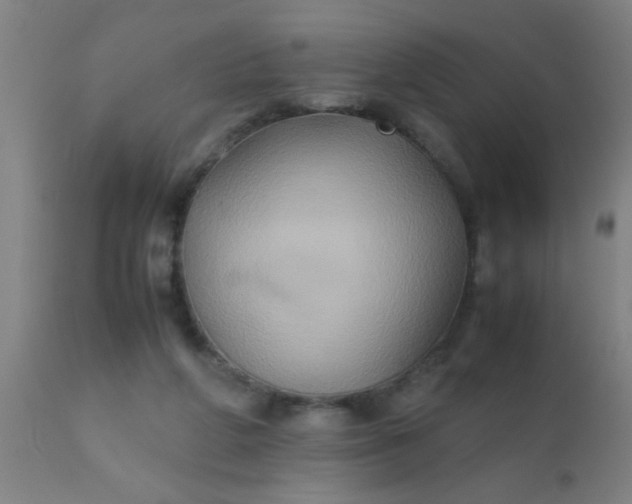 X0000110970210200907022253