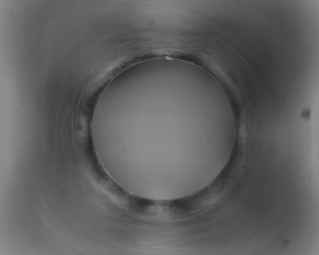 X0000110970211200907022253