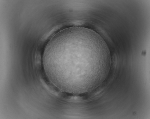 X0000110970212200907022253