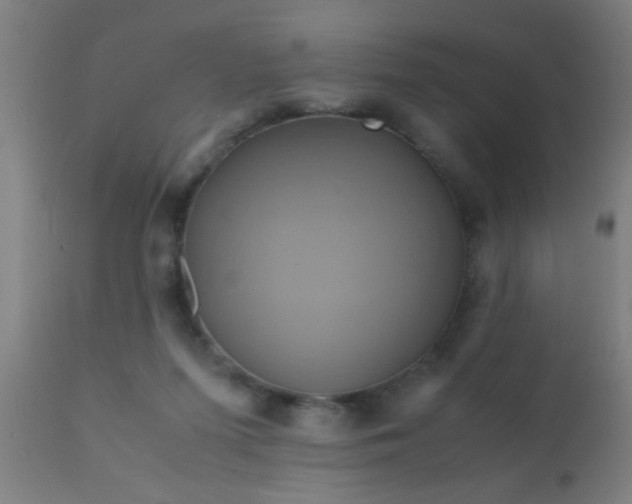 X0000110970215200907022253