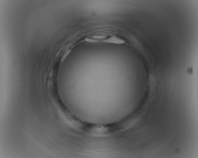 X0000110970217200907022253