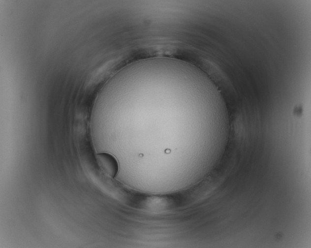 X0000110970218200907022253