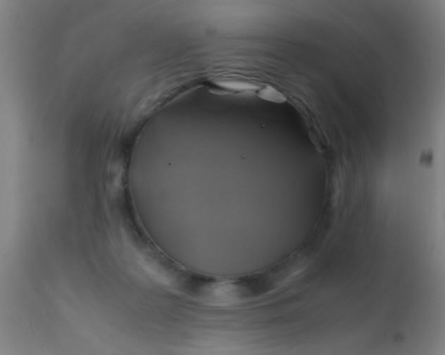 X0000110970219200907022253