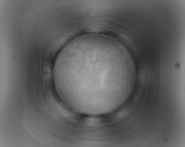 X0000110970220200907022253