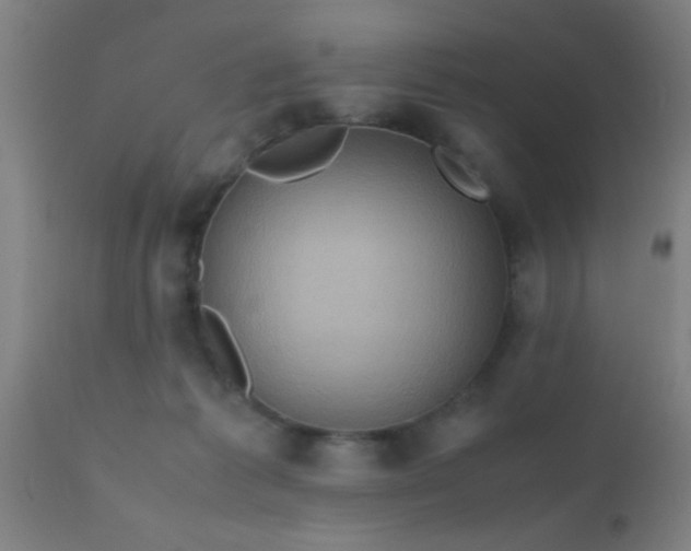 X0000110970221200907022253