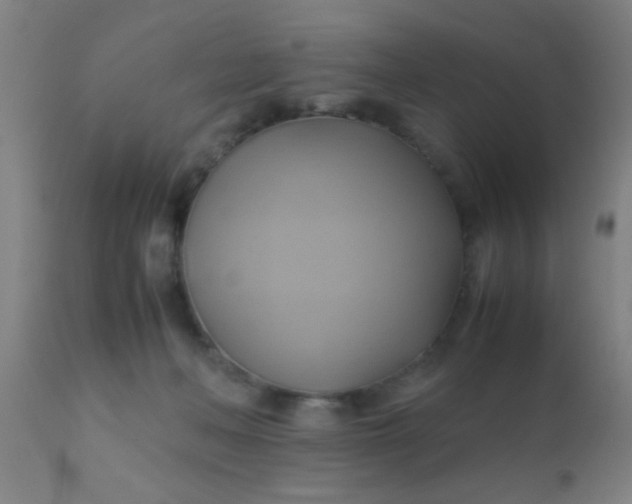 X0000110970222200907022253