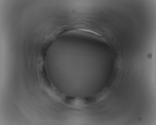 X0000110970223200907022253