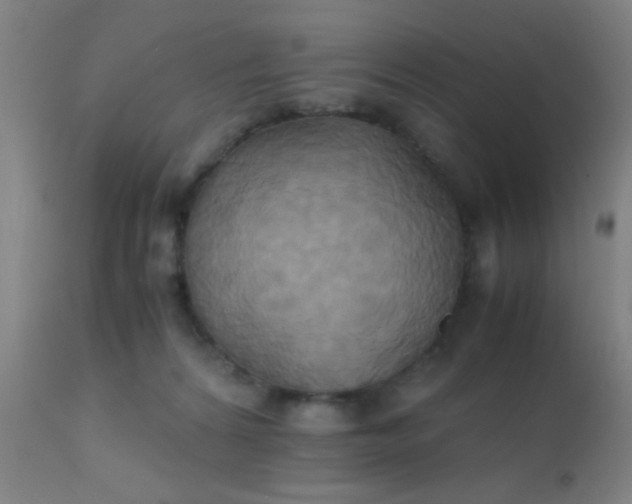 X0000110970224200907022253