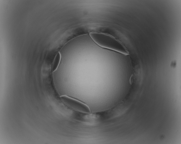 X0000110970225200907022253