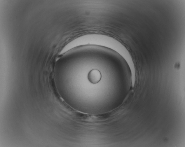 X0000110970229200907022253