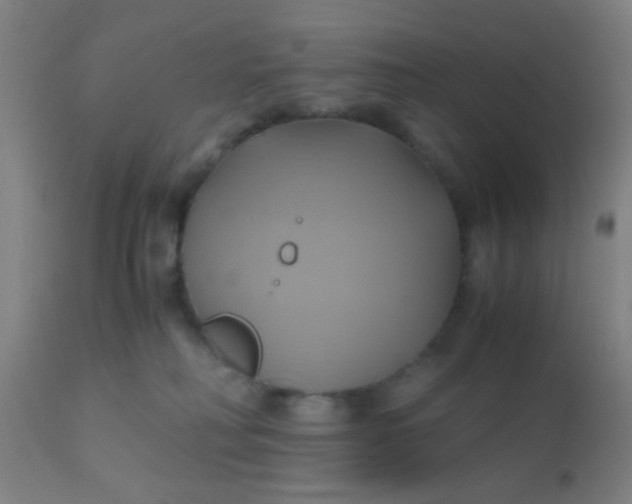 X0000110970230200907022253