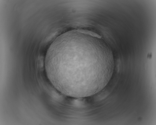 X0000110970232200907022253