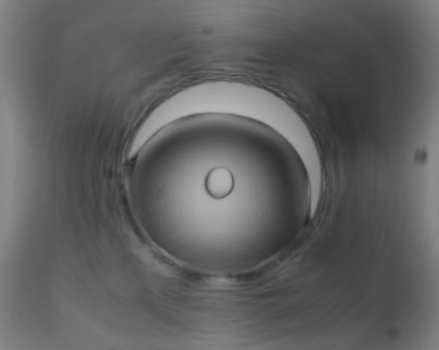 X0000110970233200907022253